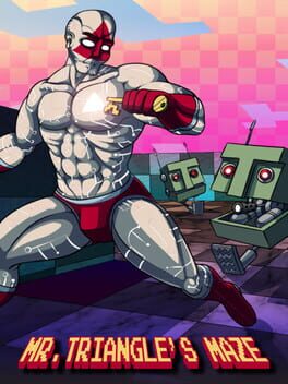 Mr. Triangle’s Maze