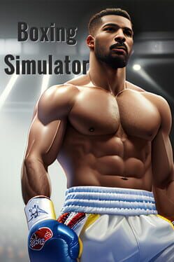 Boxing Simulator