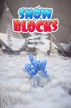 Snow Blocks