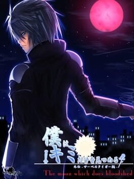 Boku wa Kimi dake o Mitsumeru Gaiden: Saber Tiger Hen