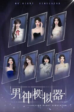 Mr Right Simulator
