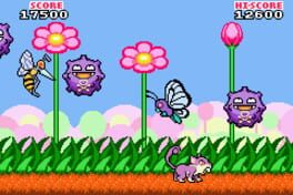 Flower Power