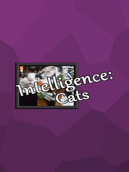 Intelligence: Cats