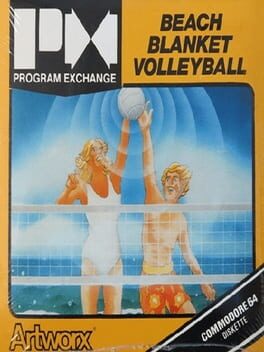 Beach Blanket Volleyball