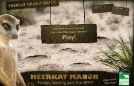 Meerkat Manor: Meerkat Grab-A-Snack