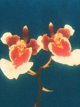 Gravity House Duology