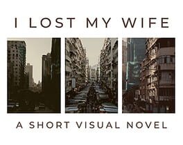 I Lost My Wife