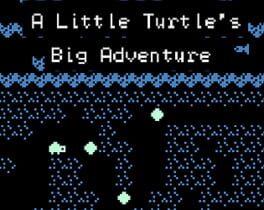 A Little Turtle’s Big Adventure