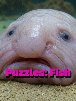 Puzzles: Fish