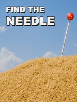 Find The Needle