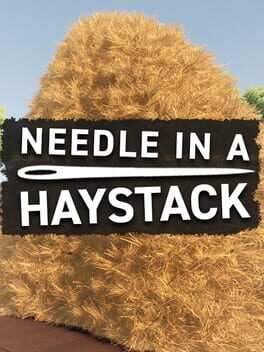 Needle In A Haystack