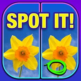What’s the Difference? Spot It