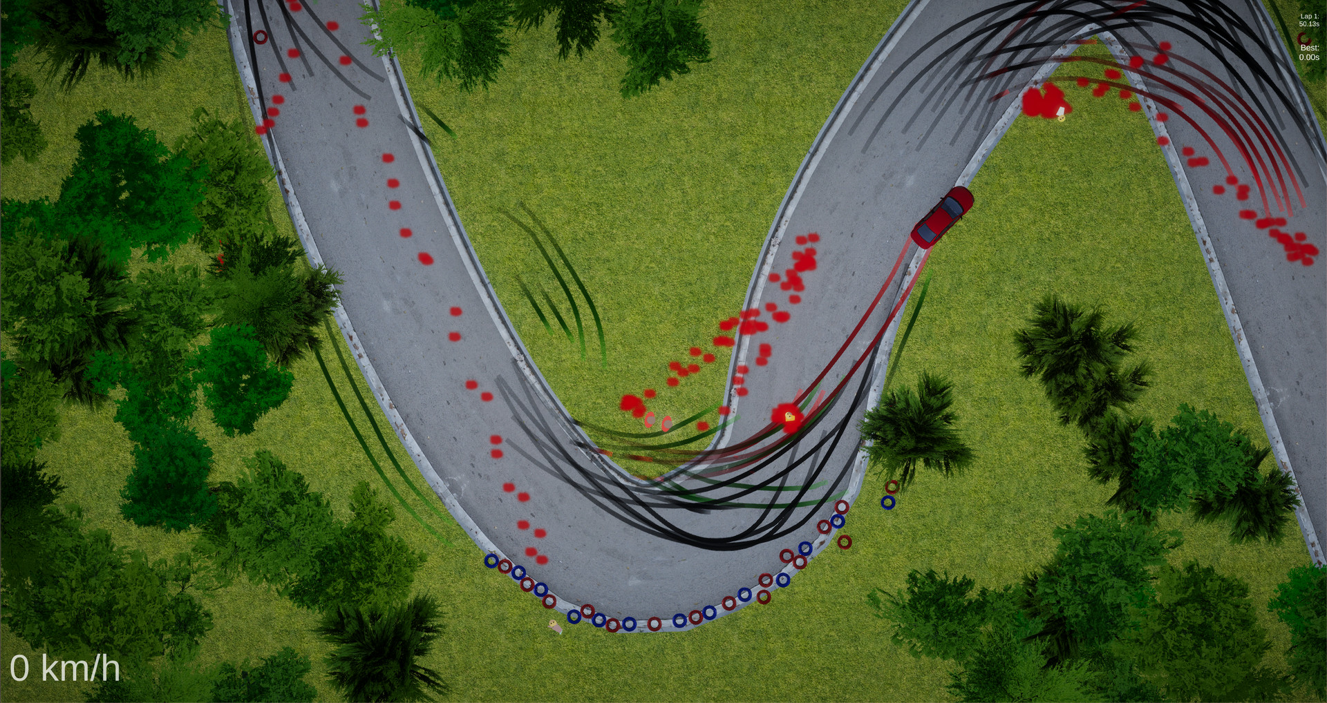 Bloody Rally Simulator