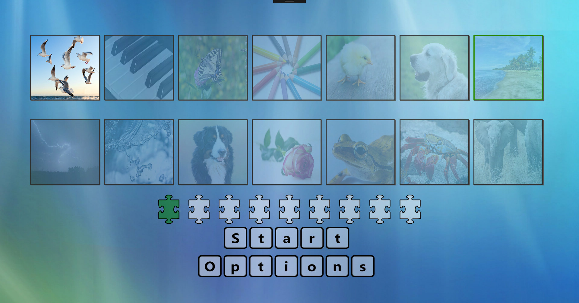 Digital Jigsaw Puzzle