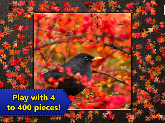 Jigsaw Puzzles Epic