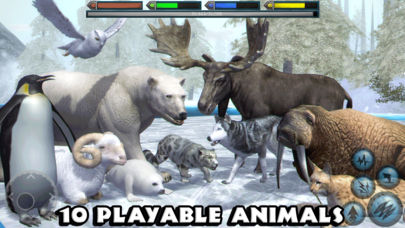 Ultimate Arctic Simulator