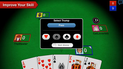 Euchre 3D Pro