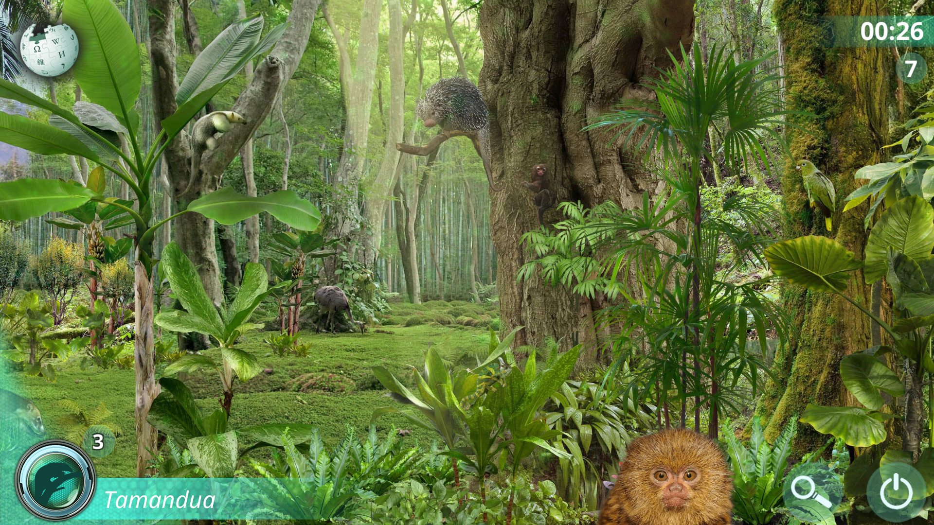 Hidden Animals: Photo Hunt