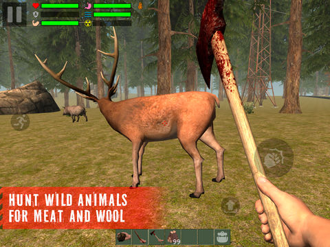 The Survivor: Rusty Forest