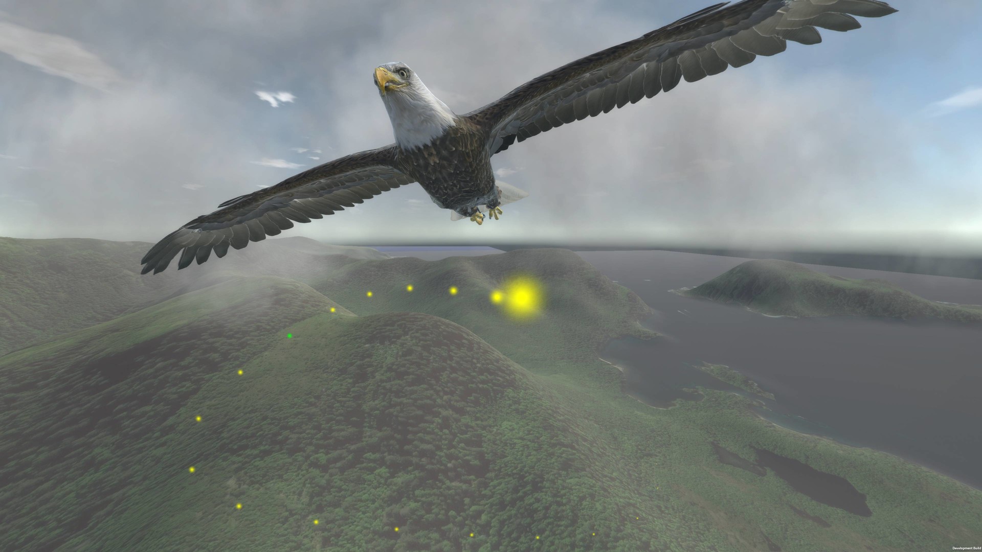 Aquila Bird Flight Simulator