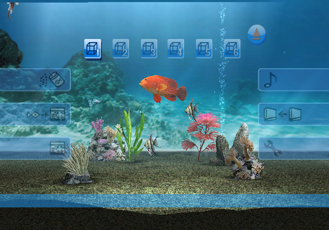 My Aquarium