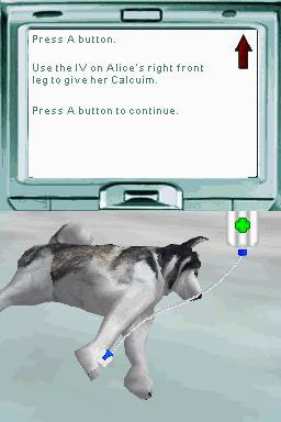 Pet Pals: New Leash on Life