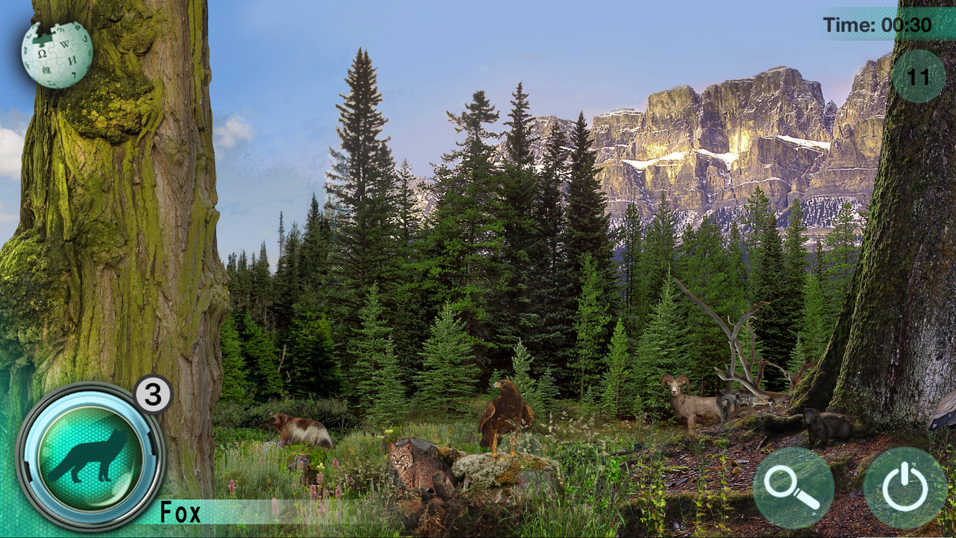 Hidden Animals: Photo Hunt