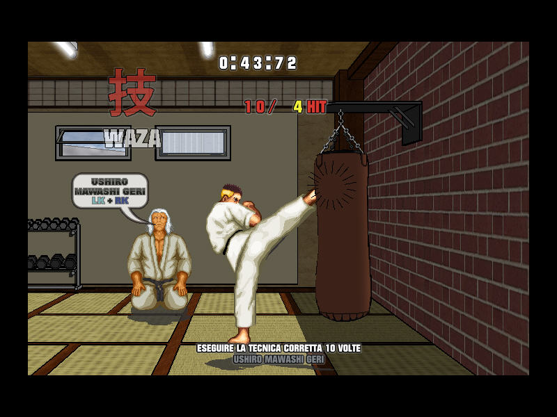 Karate Master Knock Down Blow
