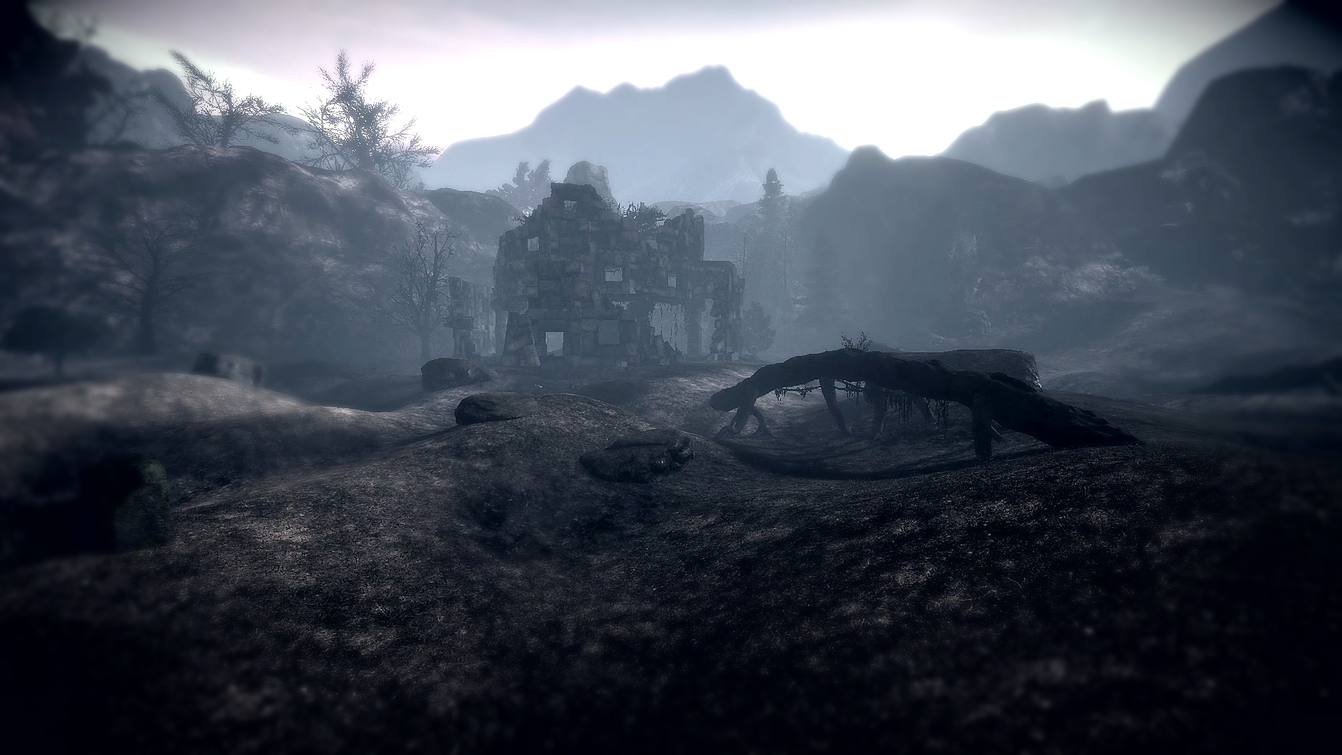 Light &amp; Dark Bundle