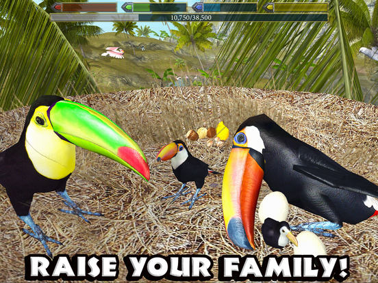 Ultimate Bird Simulator