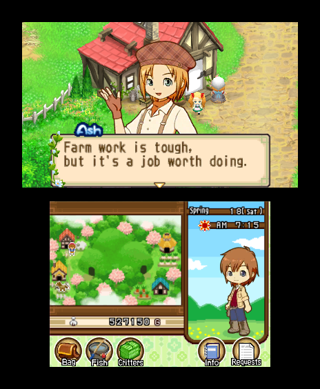 Harvest Moon: The Tale of Two Towns