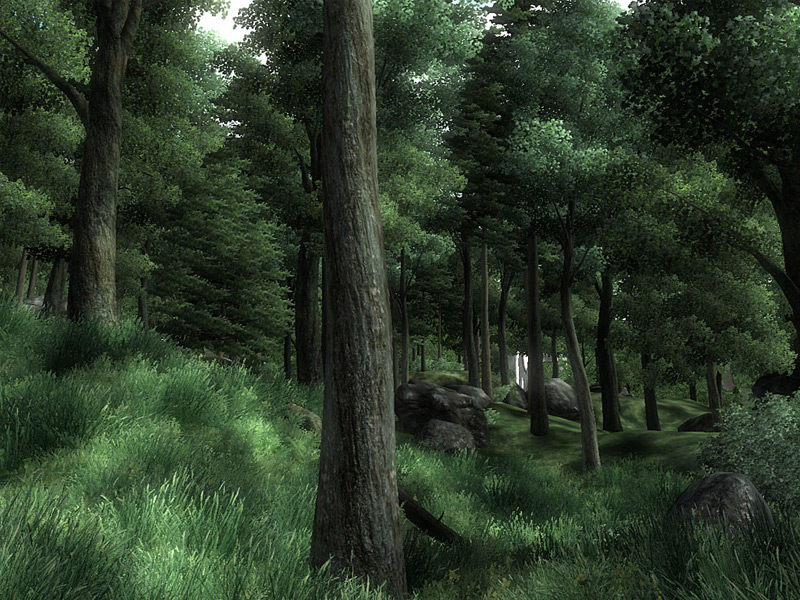 The Elder Scrolls IV: Oblivion