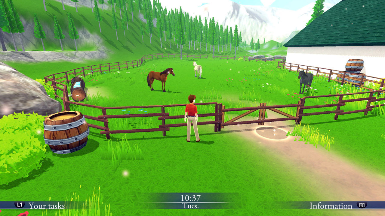 My Riding Stables: Life with Horses 2
