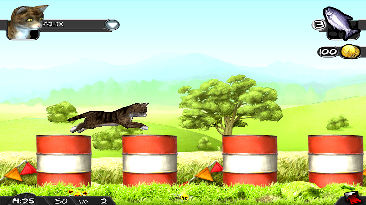 My Best Friends: Cats &amp; Dogs