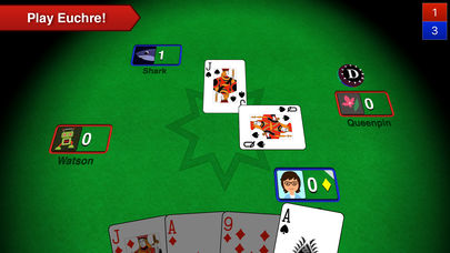 Euchre 3D Pro