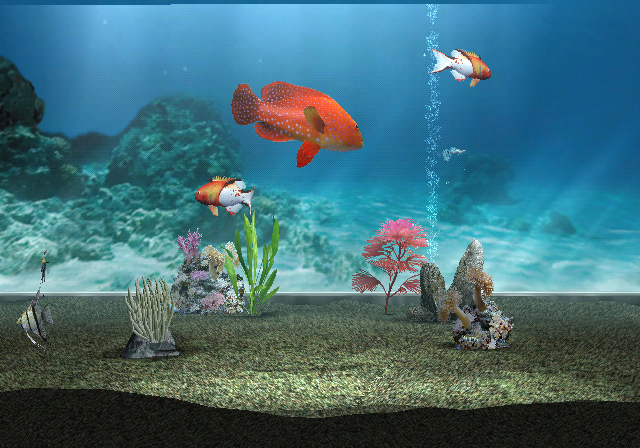 My Aquarium