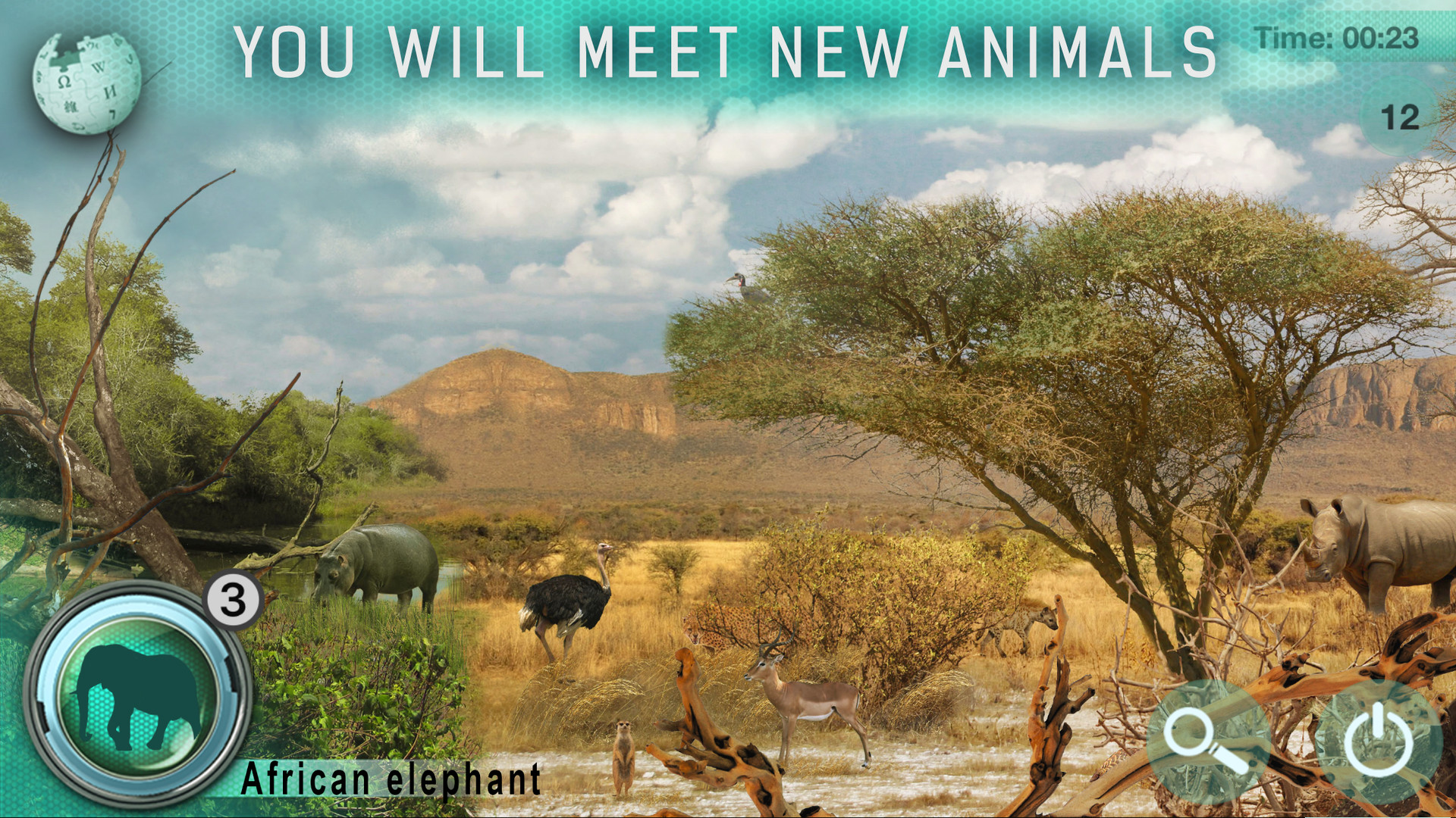 Hidden Animals: Photo Hunt