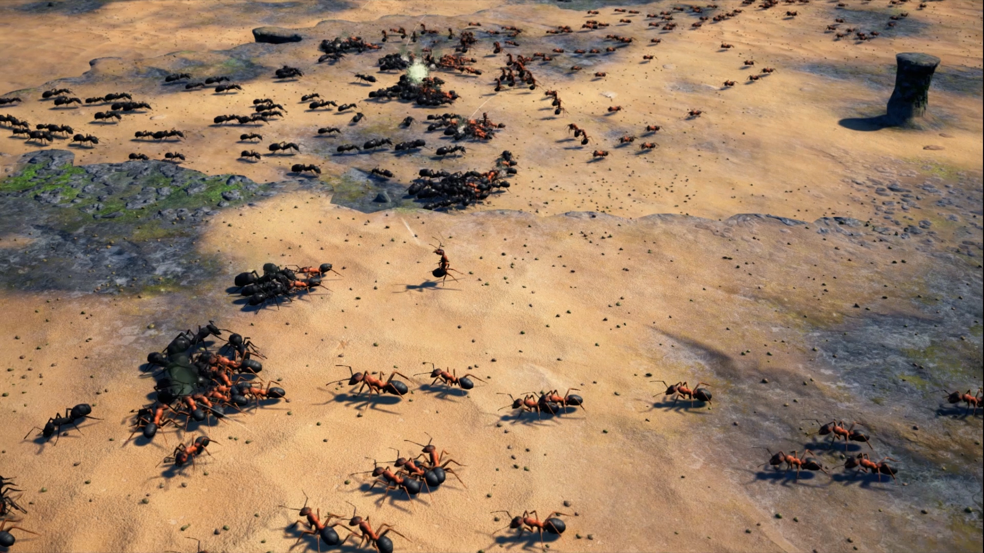 Empires of the Undergrowth