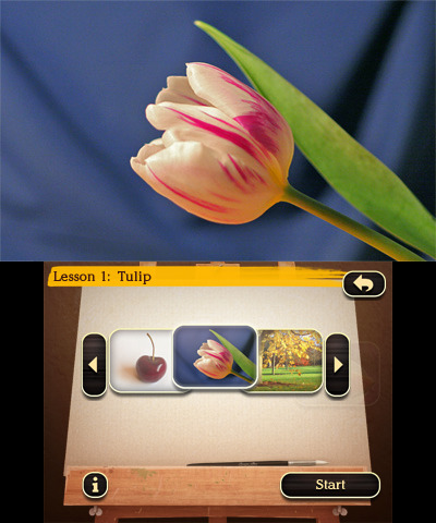 Art Academy: Lessons for Everyone!