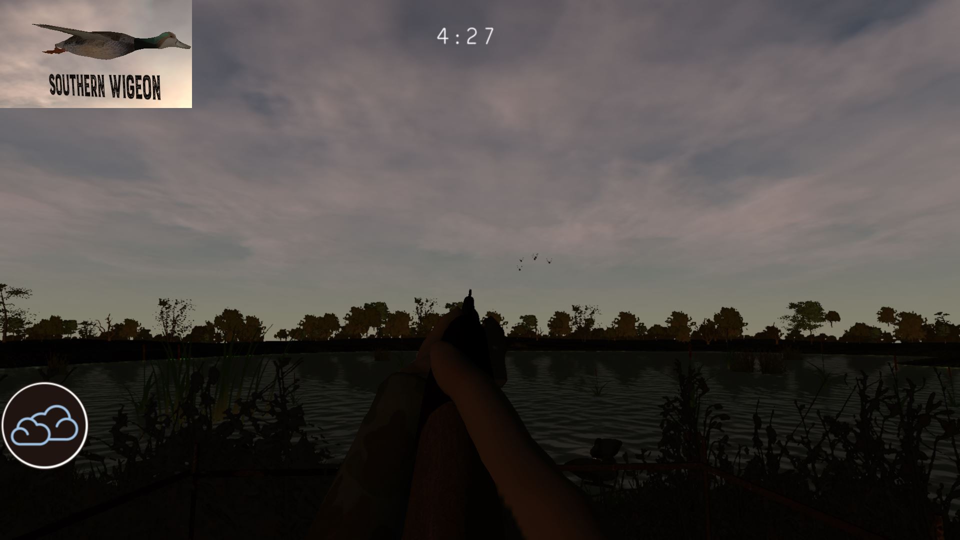 AWS Argentina Wingshooting Simulator