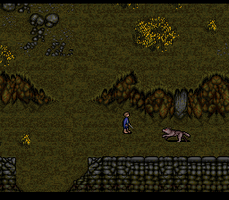 J.R.R. Tolkien’s Lord of the Rings: Volume 1