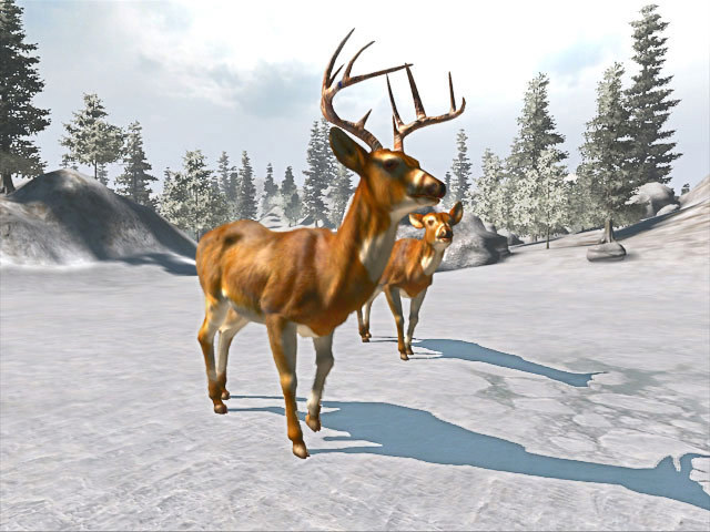 Cabela’s Trophy Bucks