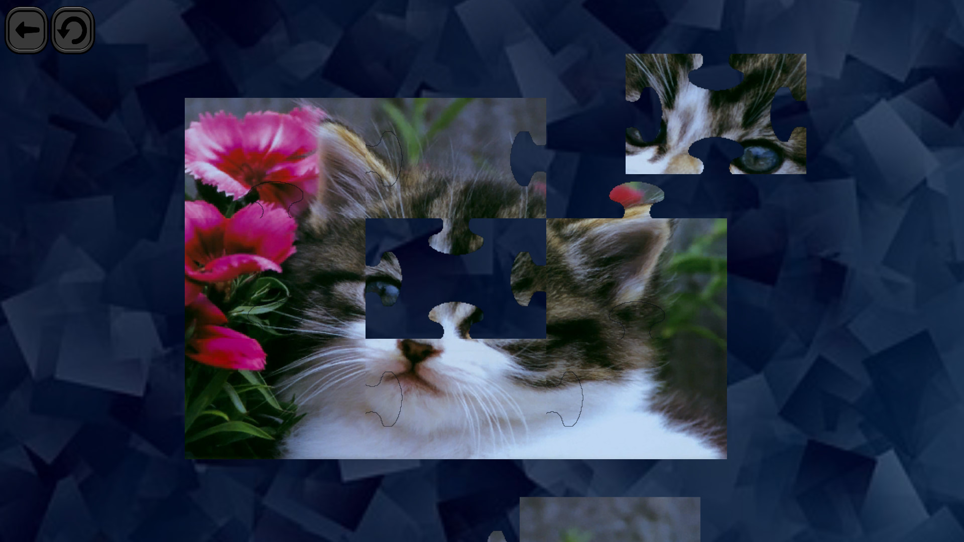 Puzzles for smart: Cats