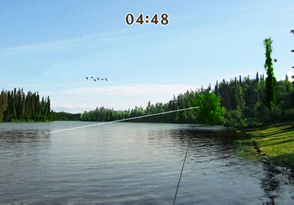 Reel Fishing Challenge II
