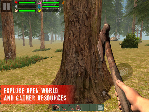 The Survivor: Rusty Forest