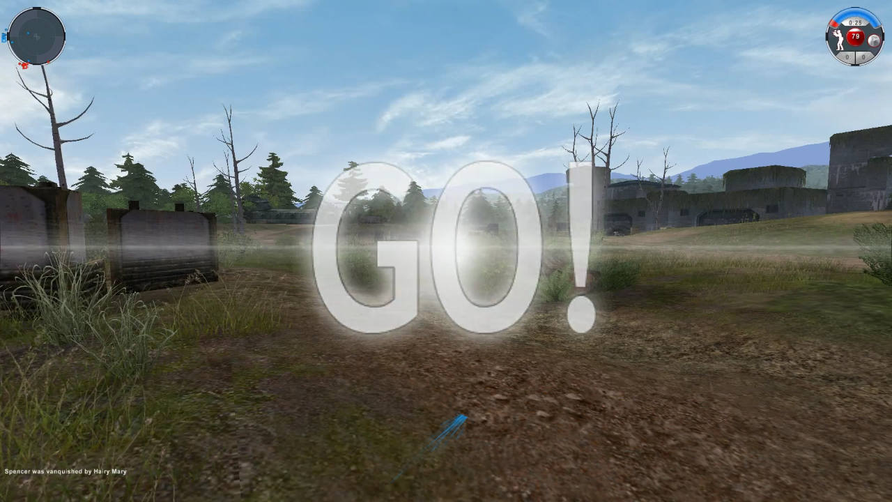 Splat Renegade Paintball