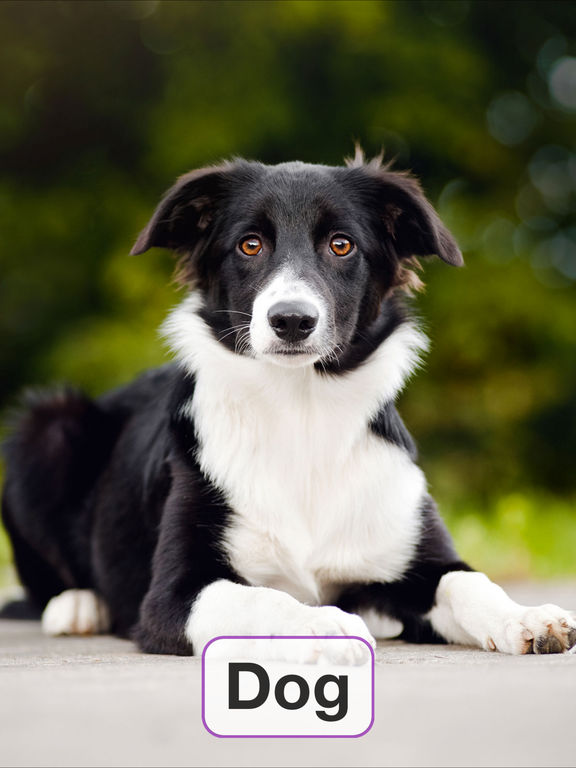 Toddler Flashcards HD: Baby Learning Games &amp; Apps