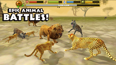 Cheetah Simulator