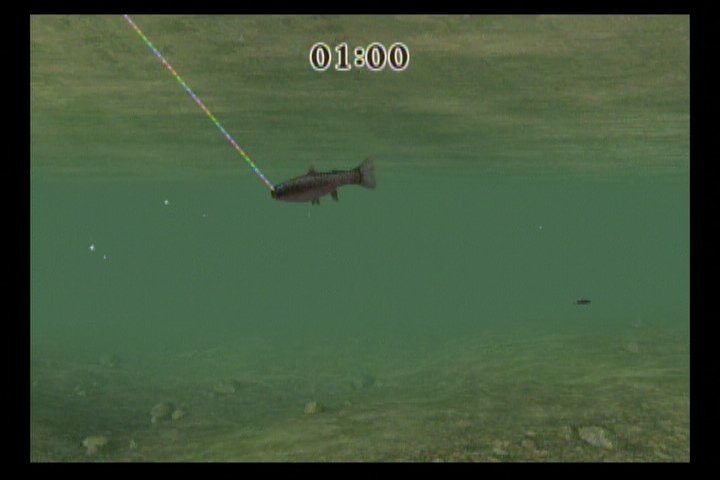 Reel Fishing Challenge