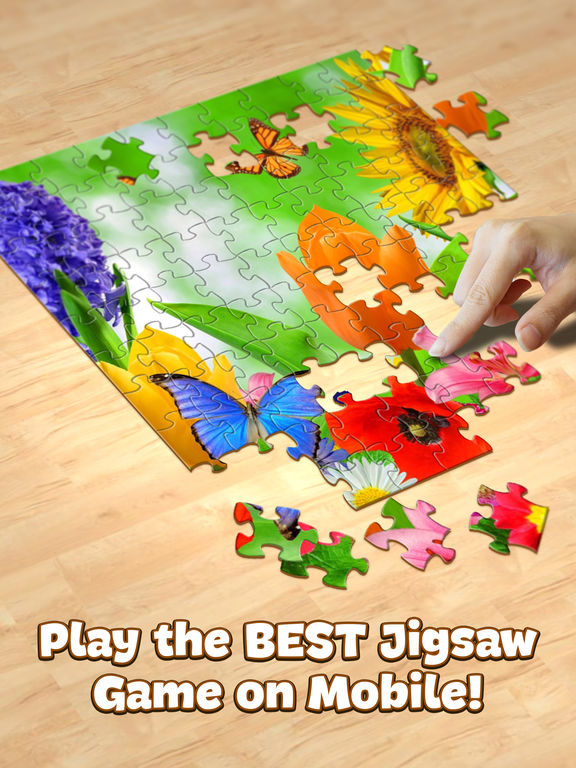Jigsaw Puzzle Pro